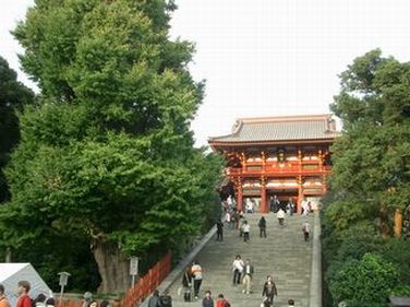 大銀杏と八幡宮.JPG