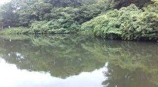 20090714155108.jpg