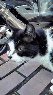 201002141114000.jpg