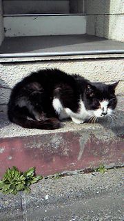 201002141153000.jpg