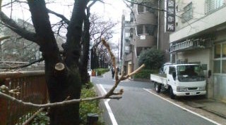 20110307164753.jpg