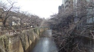 20110309105513.jpg
