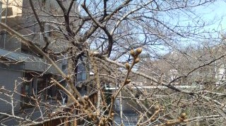 20110312095405.jpg