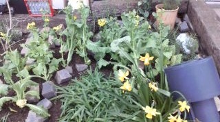 20110330120104.jpg
