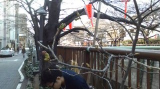 20110328153803.jpg
