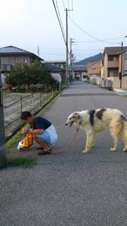 代官山・恵比寿の美容院ならココ.jpg