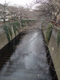 写真 2.JPG