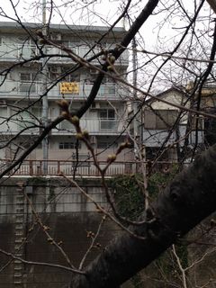 写真 3.JPG