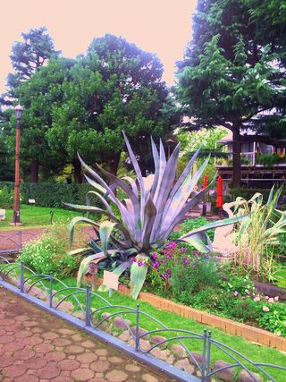 2012-10-23 14.44.03.jpg