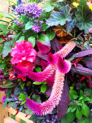2012-10-23 14.44.45.jpg
