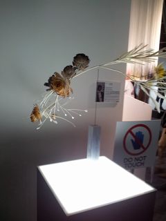 2012-11-05 17.13.50.jpg