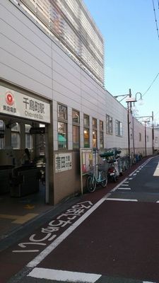 DSC_0157.jpg