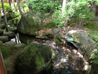 IMG_0653.JPG