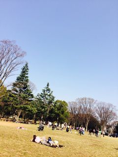 yoyogi3.jpg