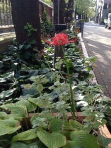 東京中目黒のロケ地。目黒川沿いで撮影されたドラマ「最高の離婚」にも出た美容院
