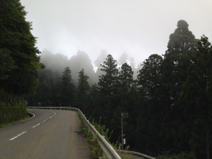 夜はくらすぎて無理だったので、早朝のジョギング