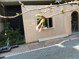 目黒川沿いの桜開花　2015