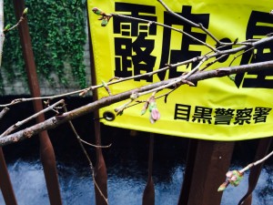 中目黒の美容院を探すならkisaiTOKYO