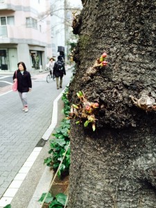 中目黒の口コミで有名な美容院kisaiTOKYO