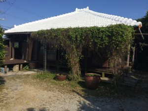 IMG_3569