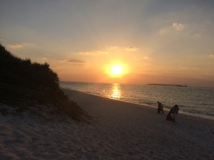 IMG_3626