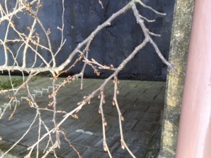 IMG_3167