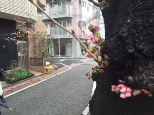IMG_3208