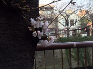 IMG_3227