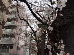 IMG_3265