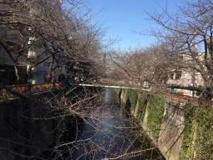 IMG_3930