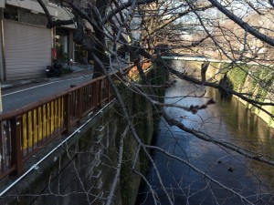 IMG_3931