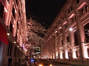 桜２