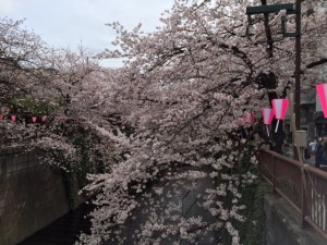 IMG_3294