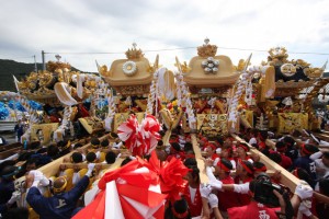 img_1483278_55163302_1