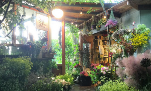 thelittleshopofflowers